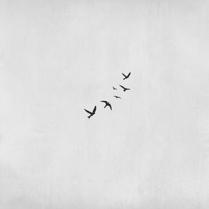 Tattoo of 6 birds in flight