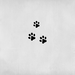 Dog Paw Tattoo