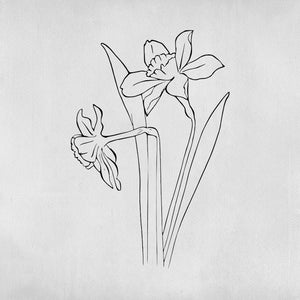 Flowering Daffodil Tattoo