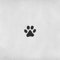 1 pâte de chien