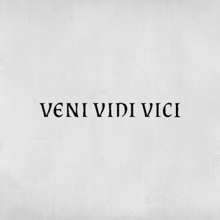 Tatouage Temporaire Écriture VENI VINI VICI – Encre Éphémère Stylée