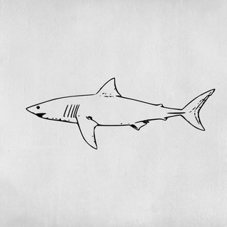 Grand tatouage d’un requin gris
