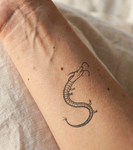 Fine Line Dragon Tattoo Idea? Try It for 2 Weeks